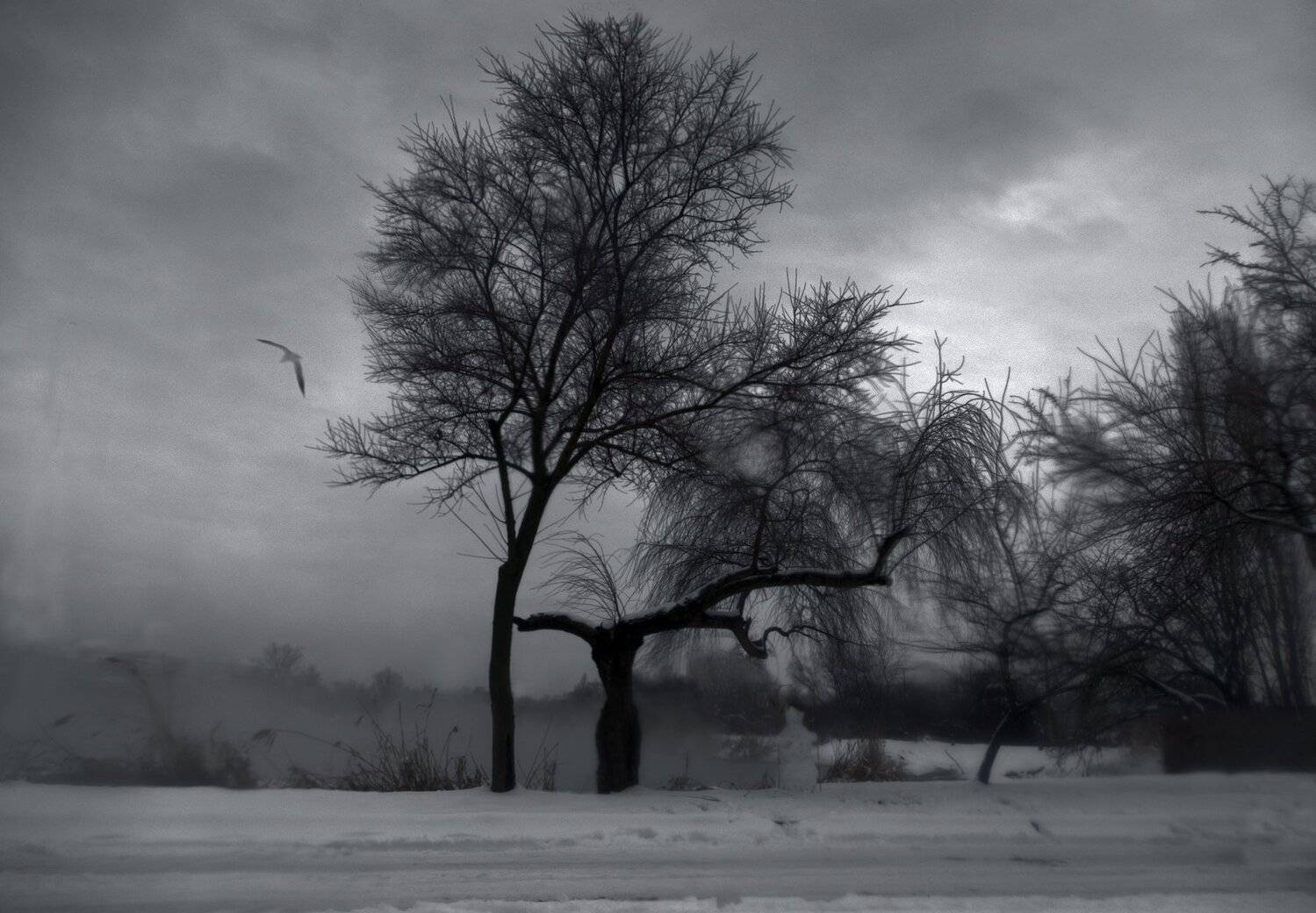 , Алексей Рыльский