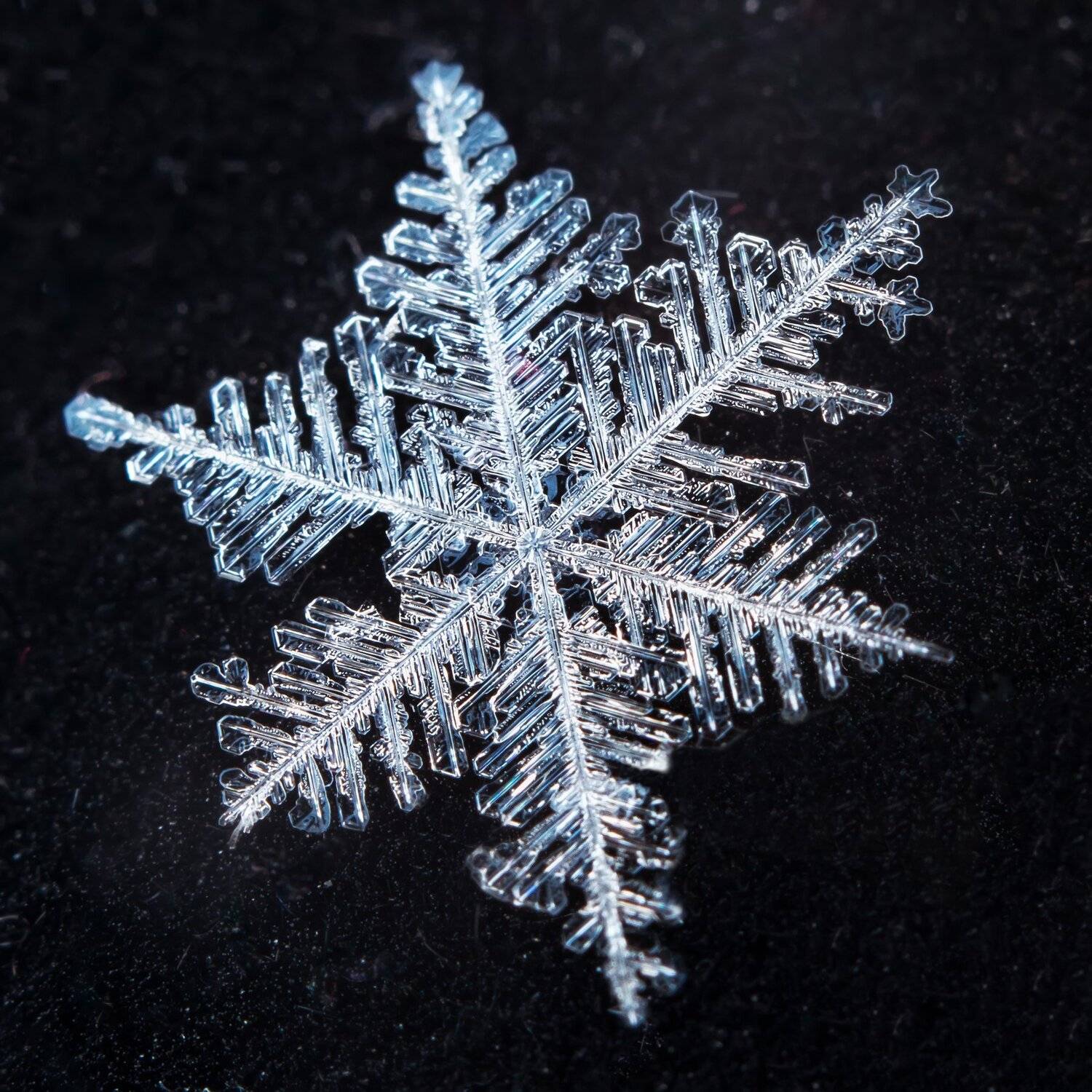 снежинка, Alex Kortez