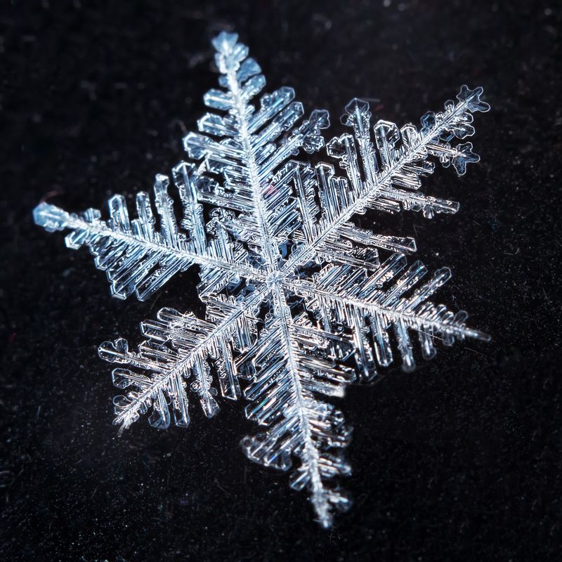 снежинка хрупкость фото превью