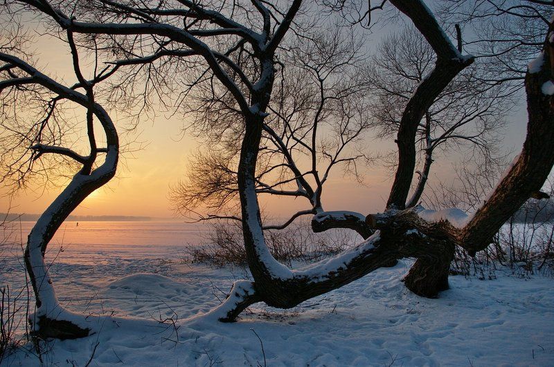 ... 06.01.16 ... фото превью