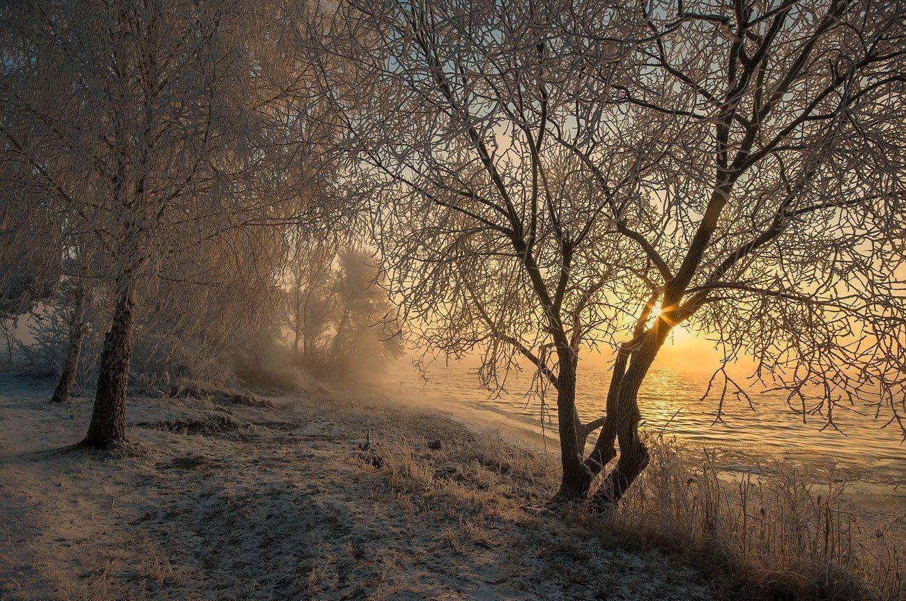 , Володимир Карчевський