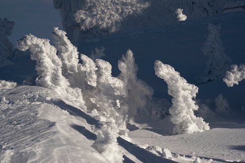 Со светлым праздником Рождества!
