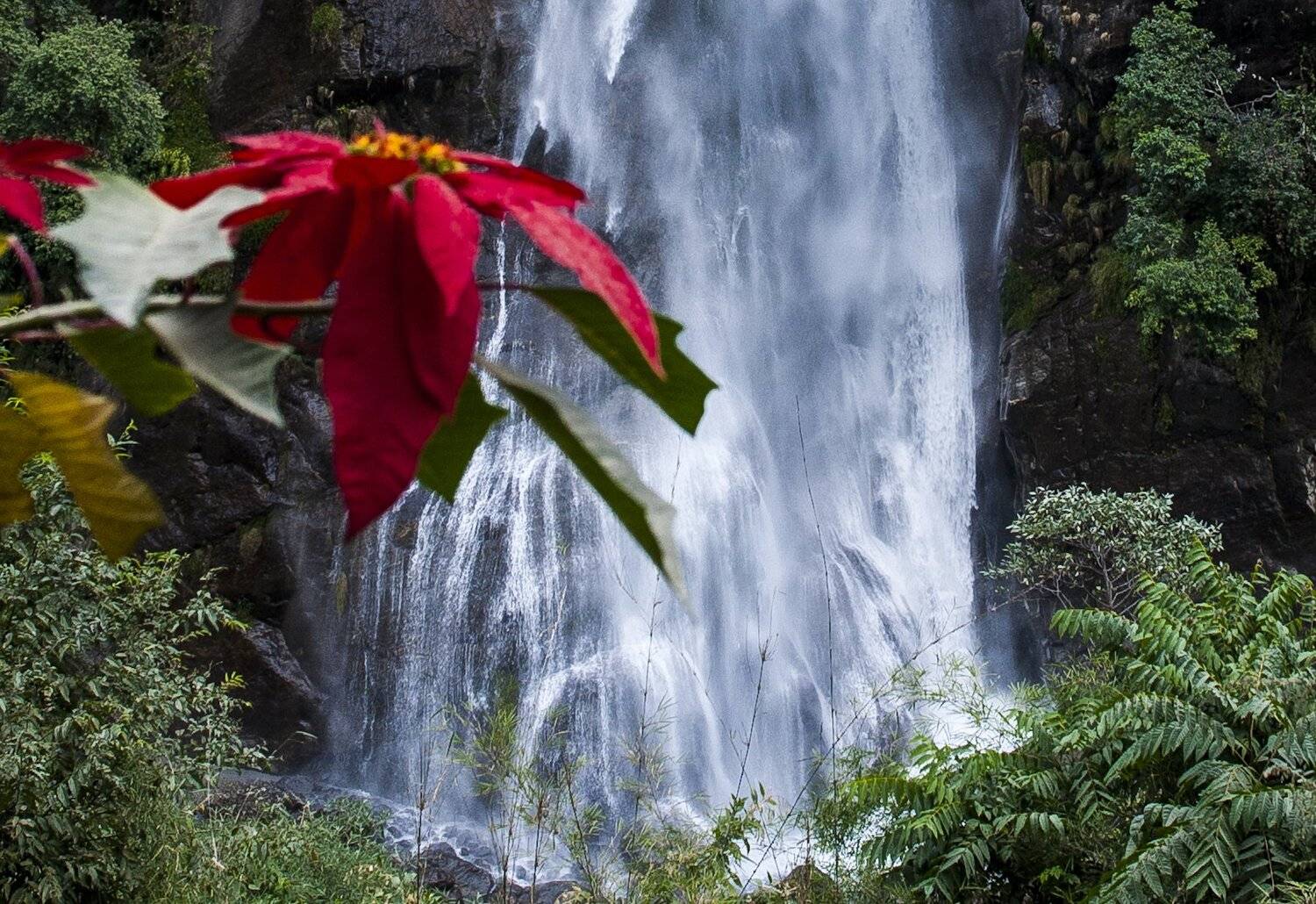 , Виктор Белименко