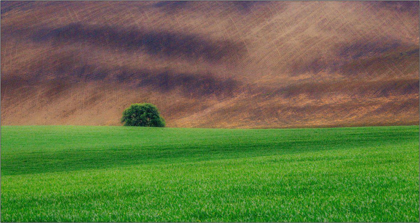 , Рудченко Анатолий