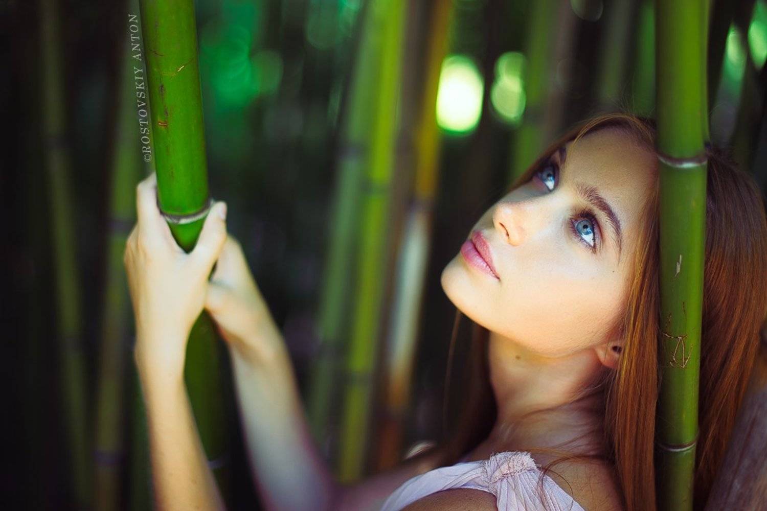 Андрусенко, Сочи, бымбук, Антон Ростовский