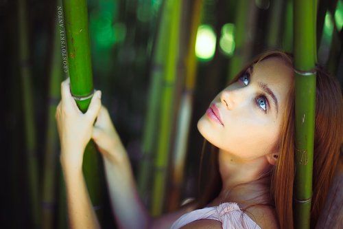 Андрусенко Анна