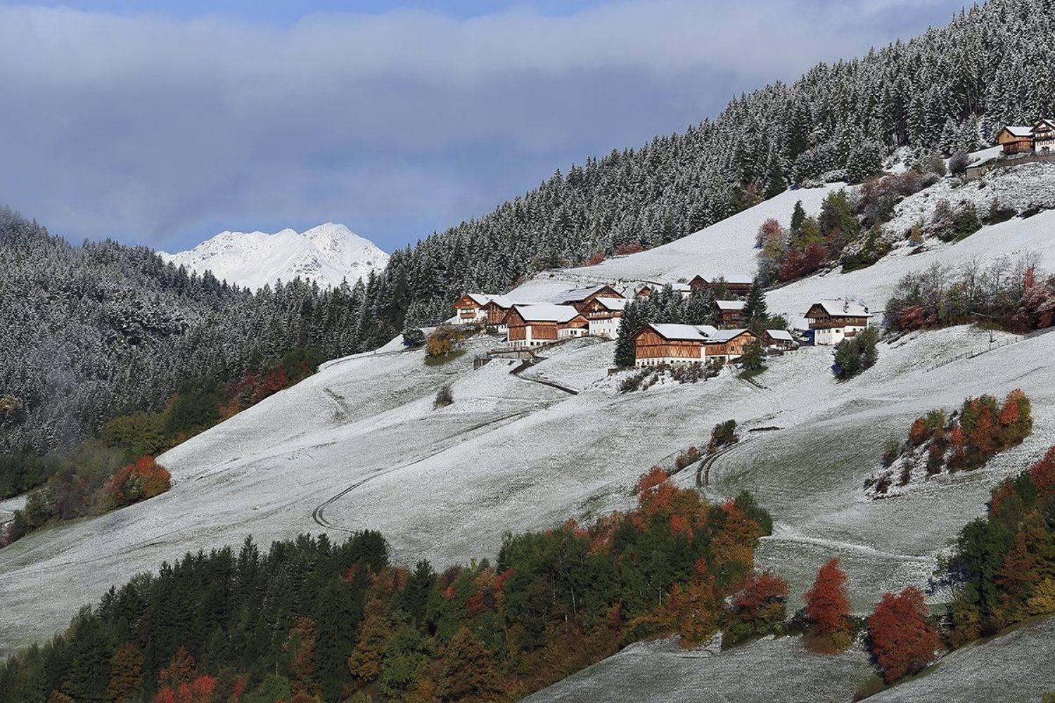 , Игорь Дубровский