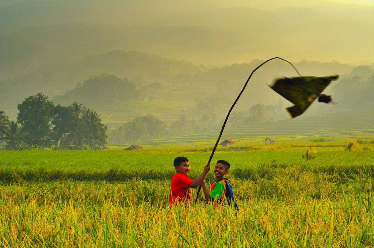 Human, Human Interest, Beni Arisandi