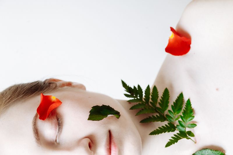 flower фото превью