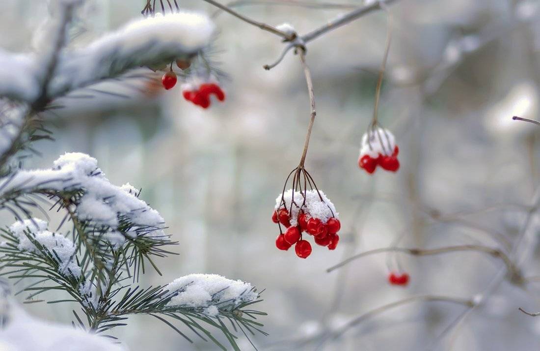 , Анатольевич