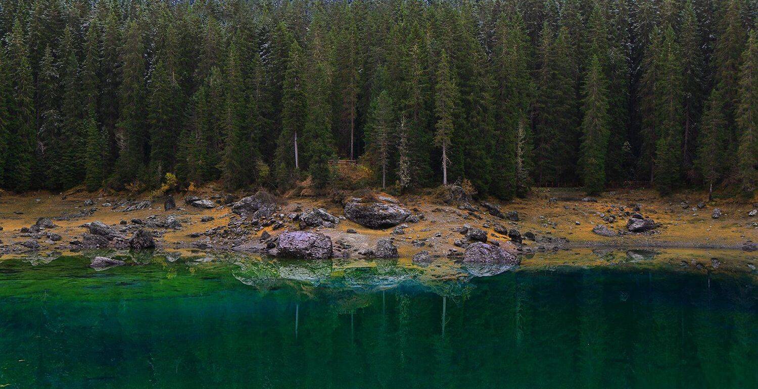 , Игорь Дубровский