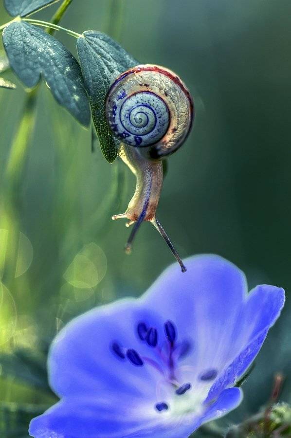 , Анатольевич