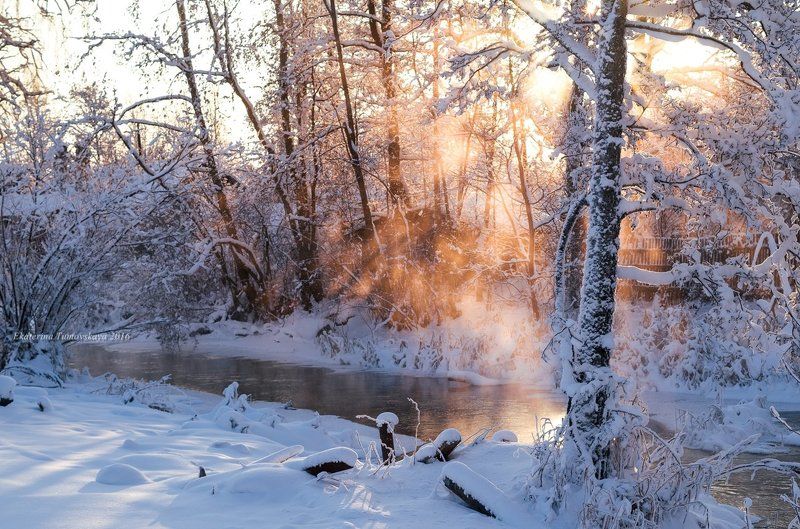 С Рождеством и Новым Годом! фото превью