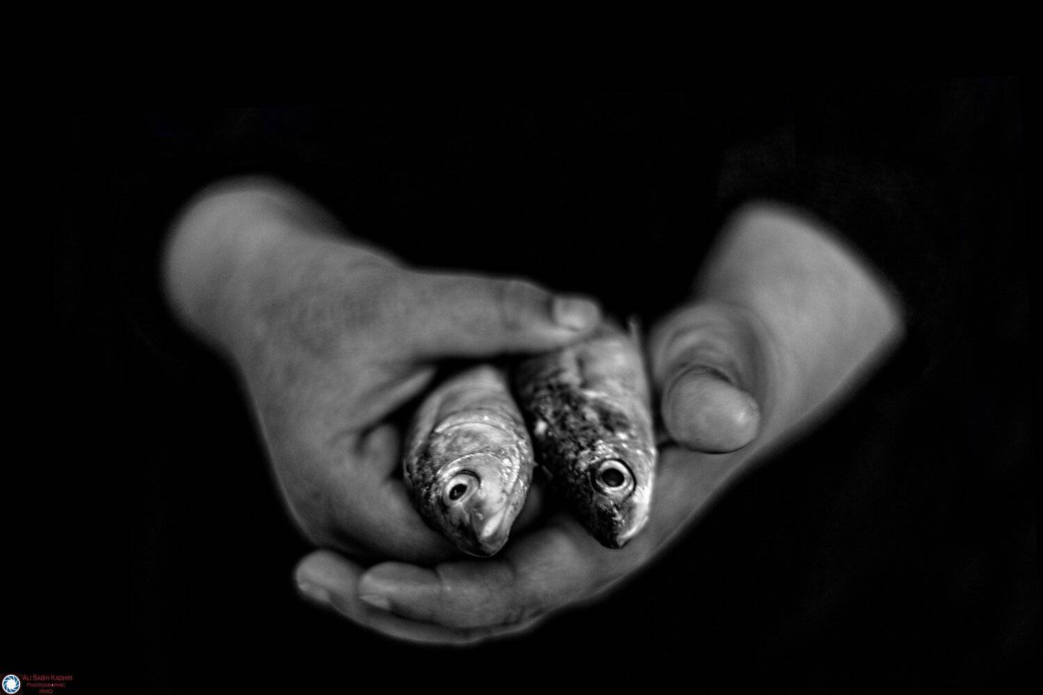 iraq, Ali Ali Sabih Kadhim