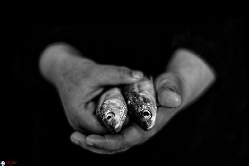 iraq hand fish  фото превью