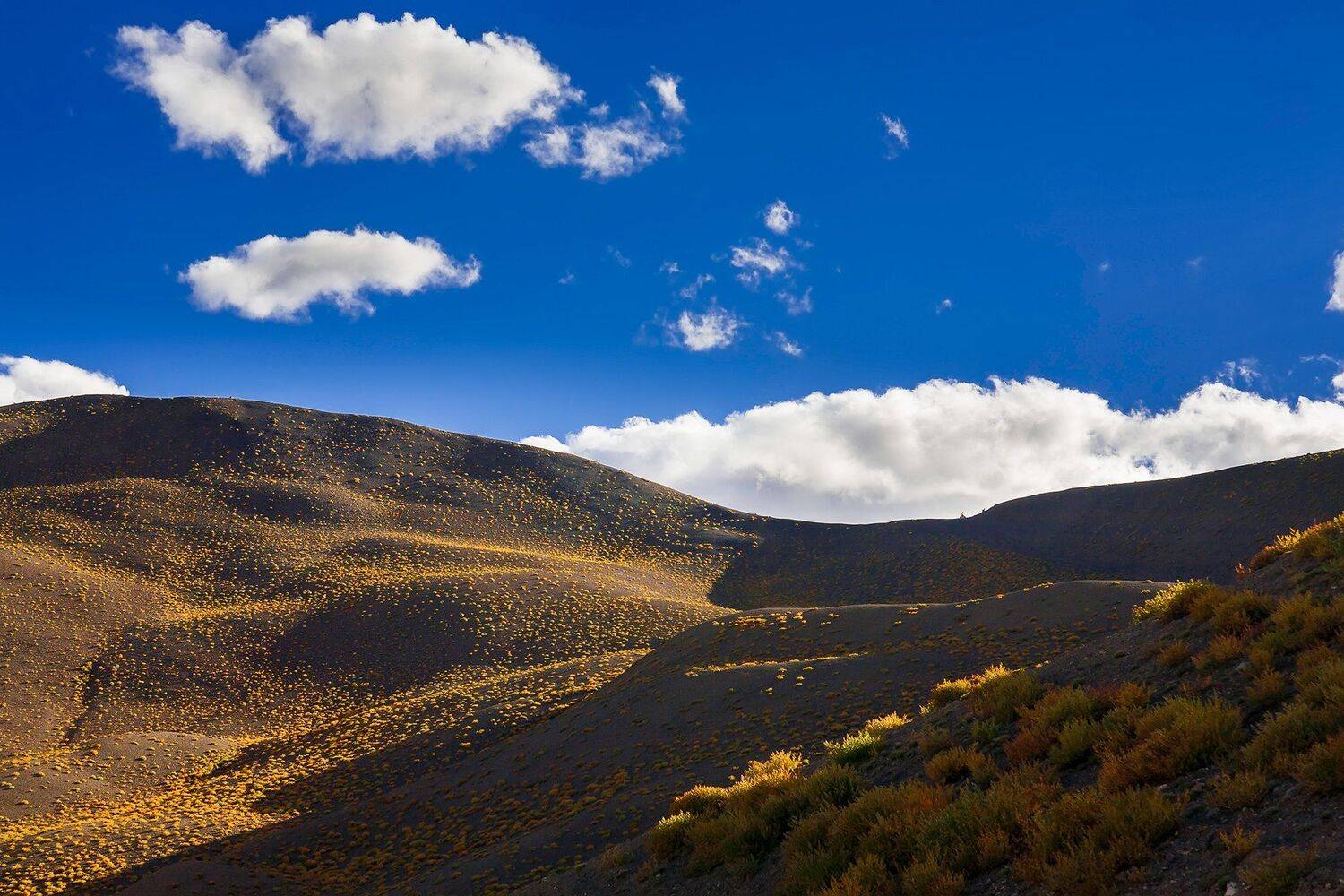 , Виктор Белименко