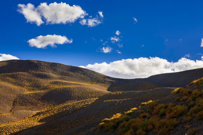 Предгорье Гималаев фото превью