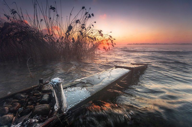 Siecino фото превью