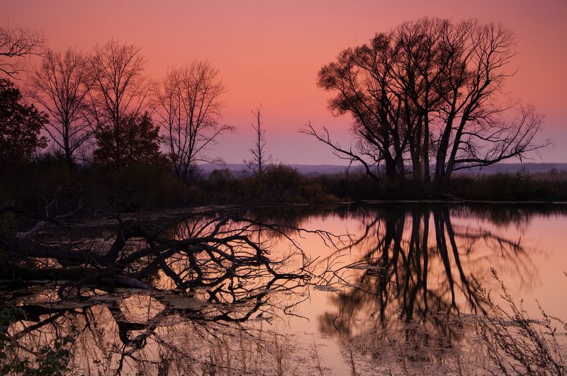 вечер, осень, закат, озеро, отражение, деревья Вечер фото превью
