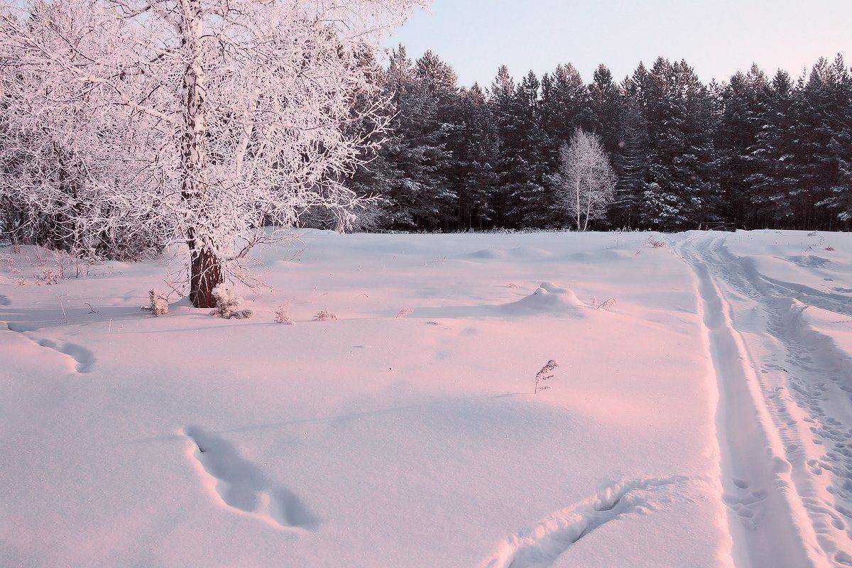 , Николай Морский