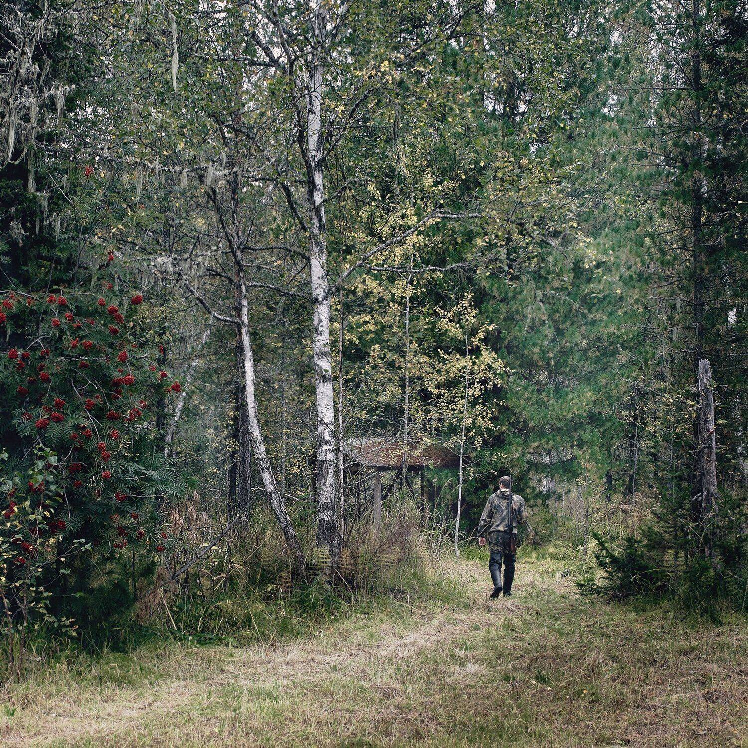 Алтай, Природа, Цвелёв Дмитрий