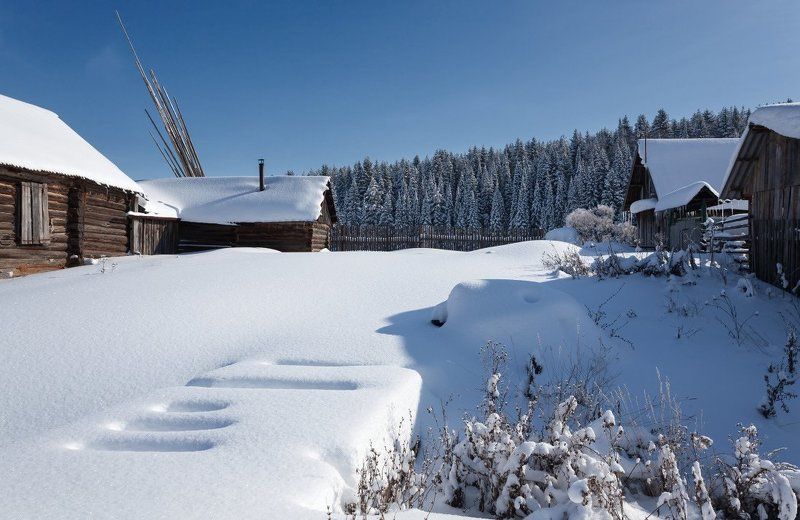 Снег усадьбы лес сугробы избушки зима солнце Снежные задворки фото превью