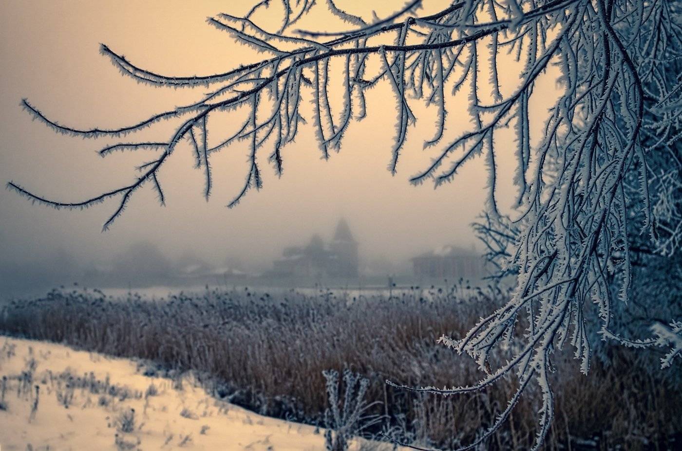 , Игорь Мелекесцев