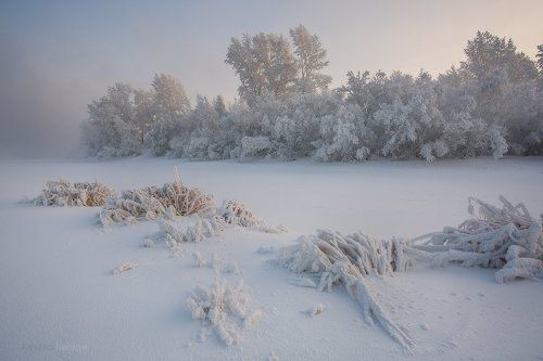 Одеяло зимы