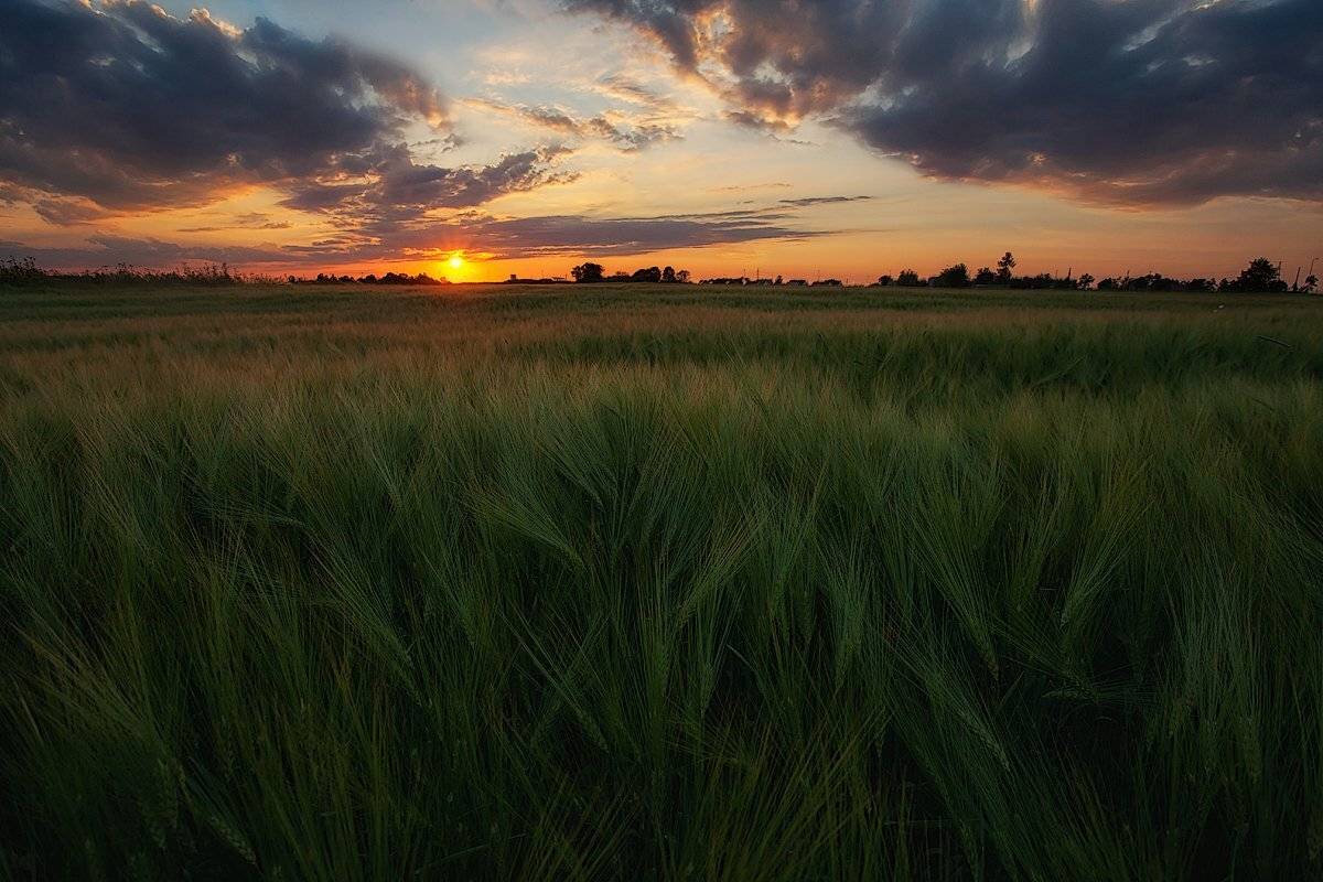 Ключенков, Пейзаж, Эстония, Kljuchenkow Aleksandr