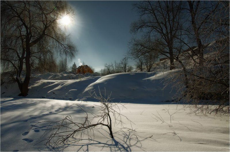 Январский торчок фото превью