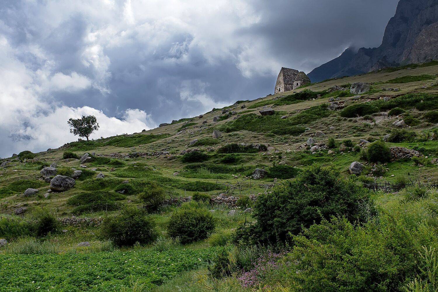 , Эльдар Гуртуев