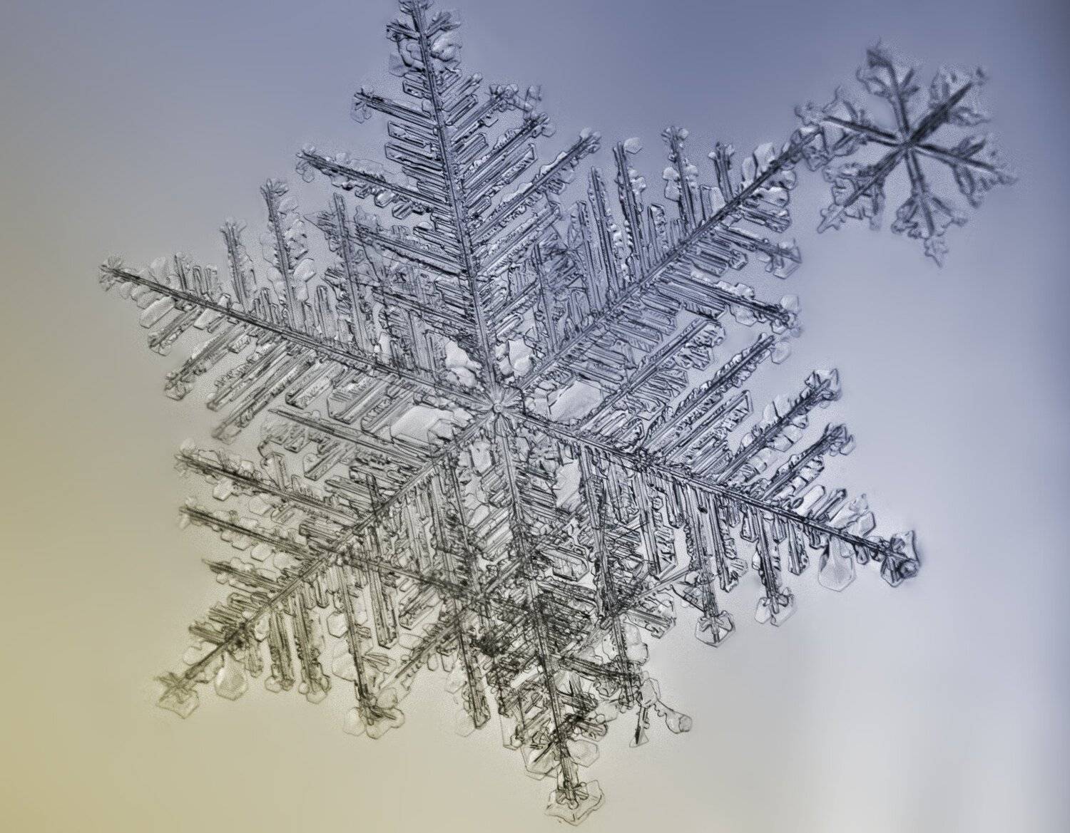 снежинка, Alex Kortez