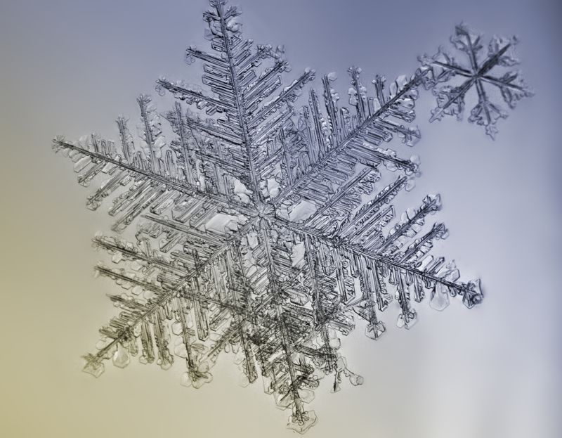 снежинка снежинки фото превью
