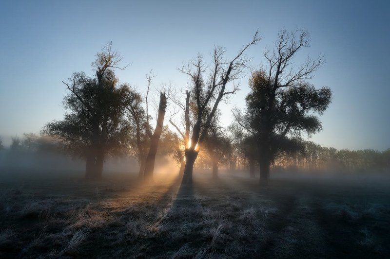 Вчера туман, сегодня вдруг морозы фото превью
