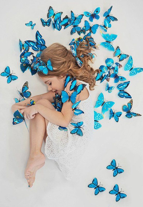 Бабочки фото превью