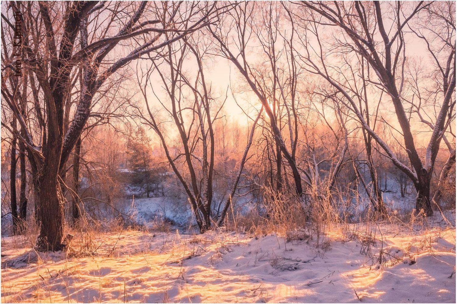 , Лидия Киприч