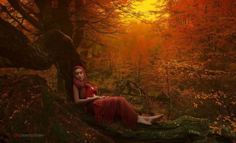 Dream of Autumn фото превью