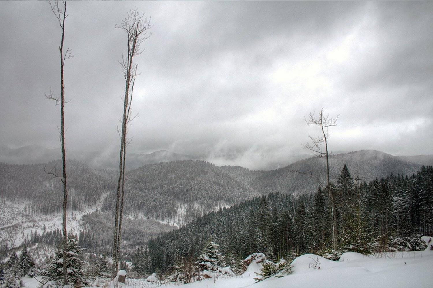 Зима, Карпаты, Андрей