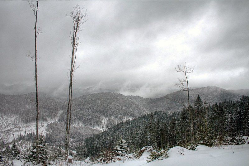 Зима, Карпаты Зима в Карпатах фото превью