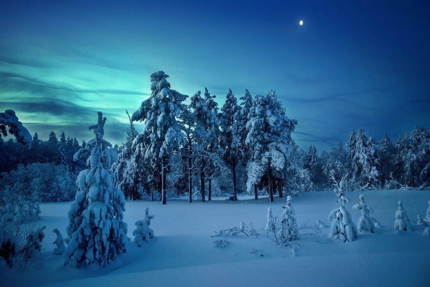 , Владимир Ляпин