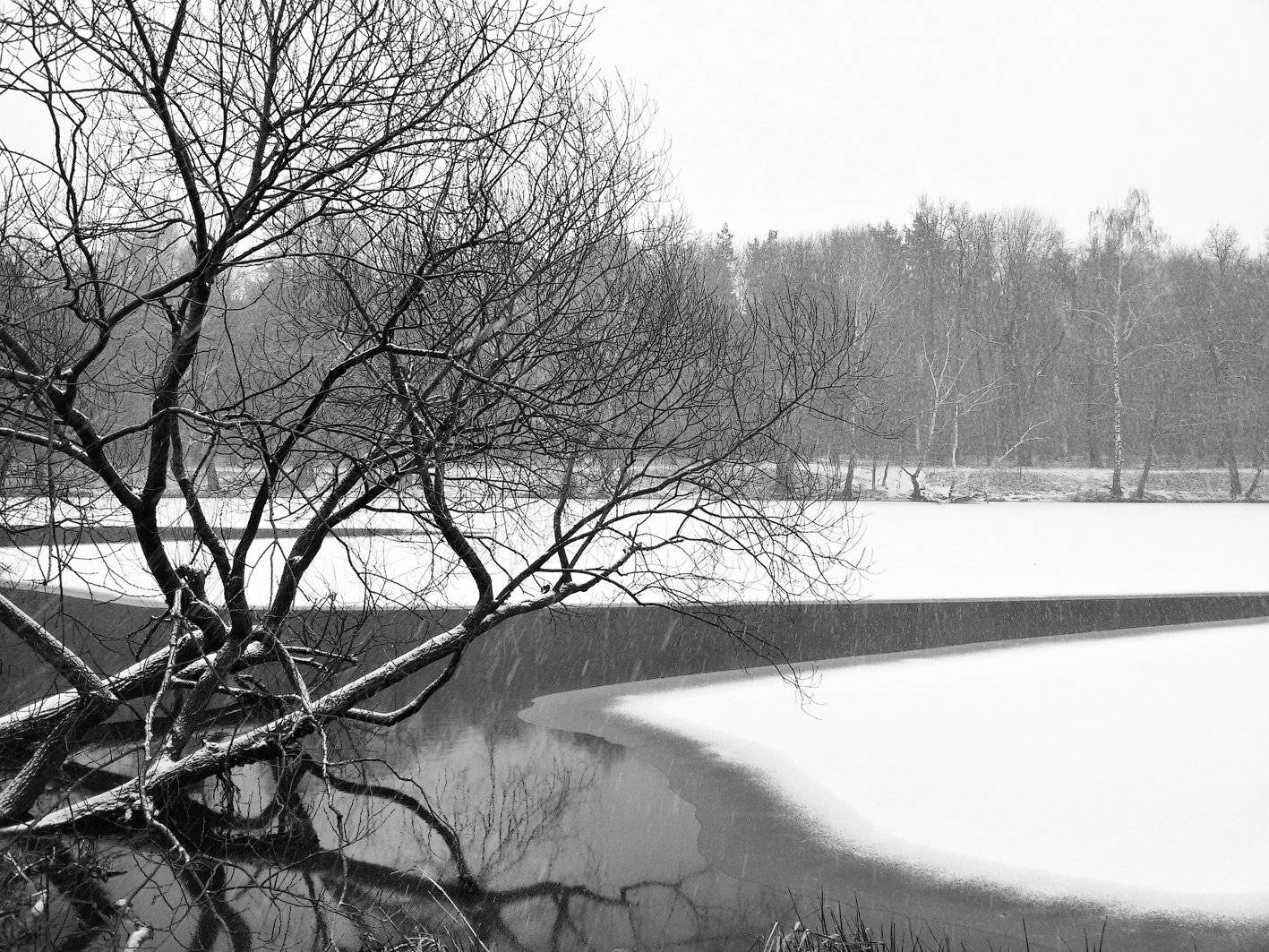 , Влад Сидорак