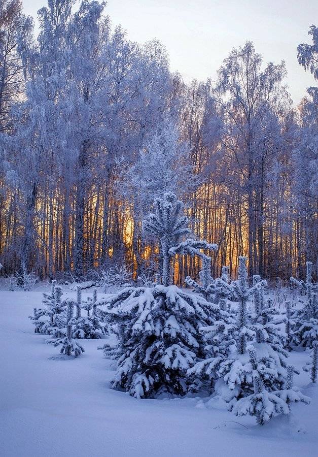 , Анатольевич