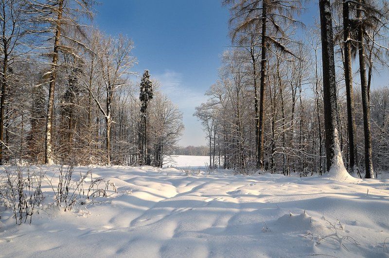 ... фото превью