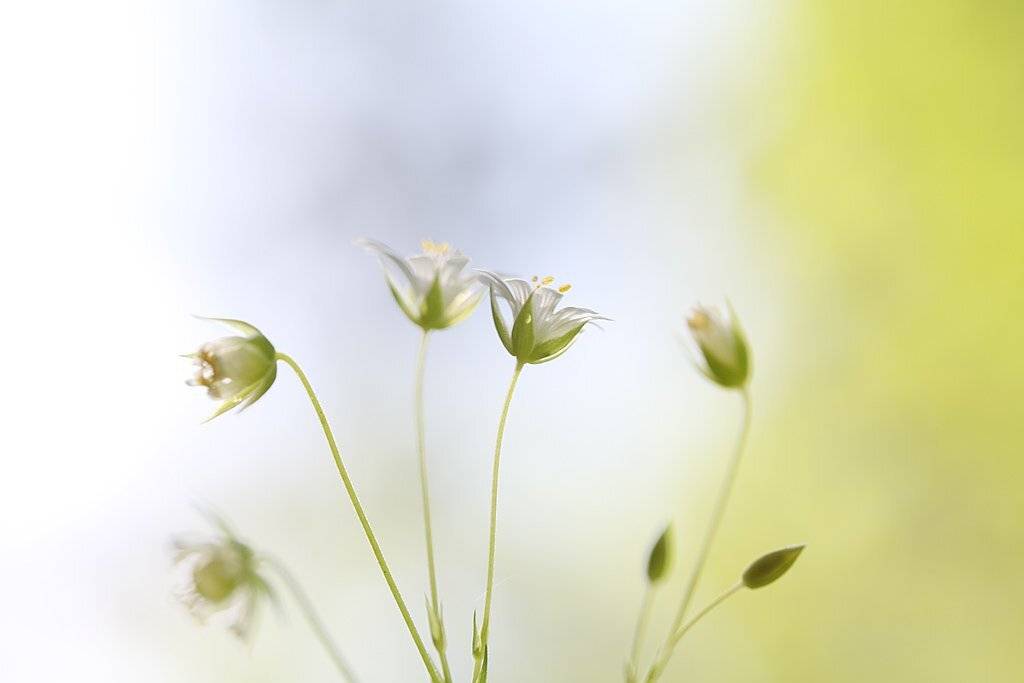 , Сергей Таланов