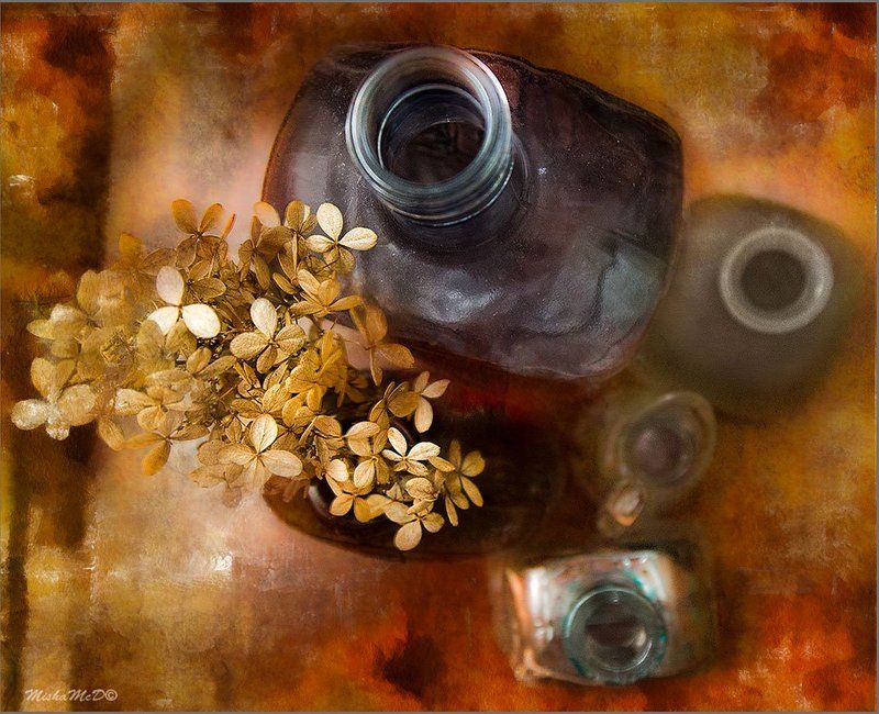 ракурс фото превью