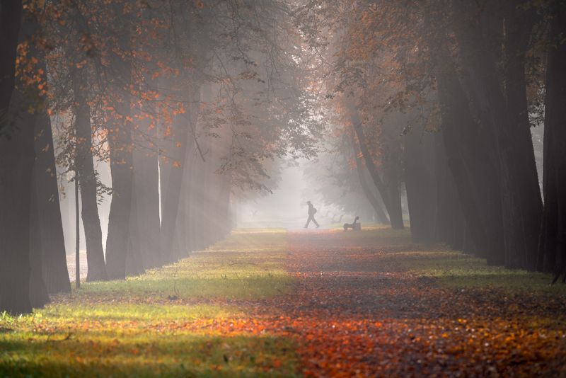 осенняя пора... фото превью