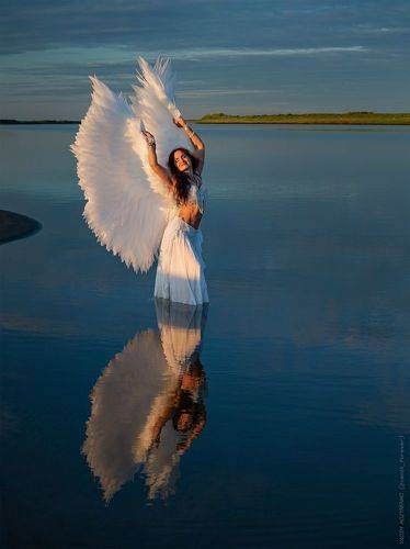 Крылья. Проба пера.