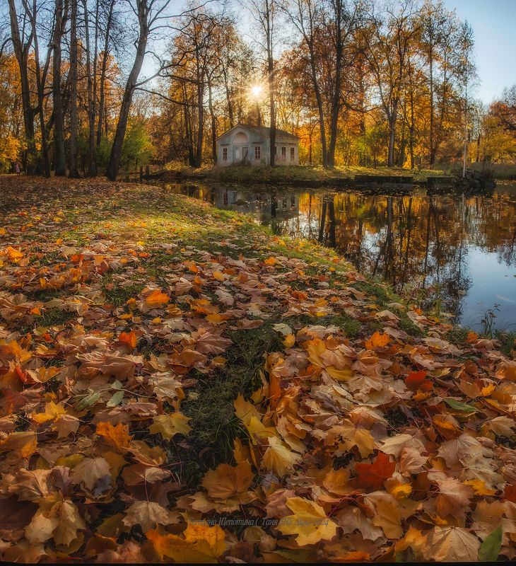 питер, пушкин, царское село, царское,  landscape, tsarskoye selo, autumn,  городской пейзаж, санкт-петербург, закат, александровский парк Александровский парк фото превью