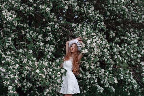 White flowers