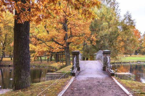 Гатчина. Дворцовый парк.